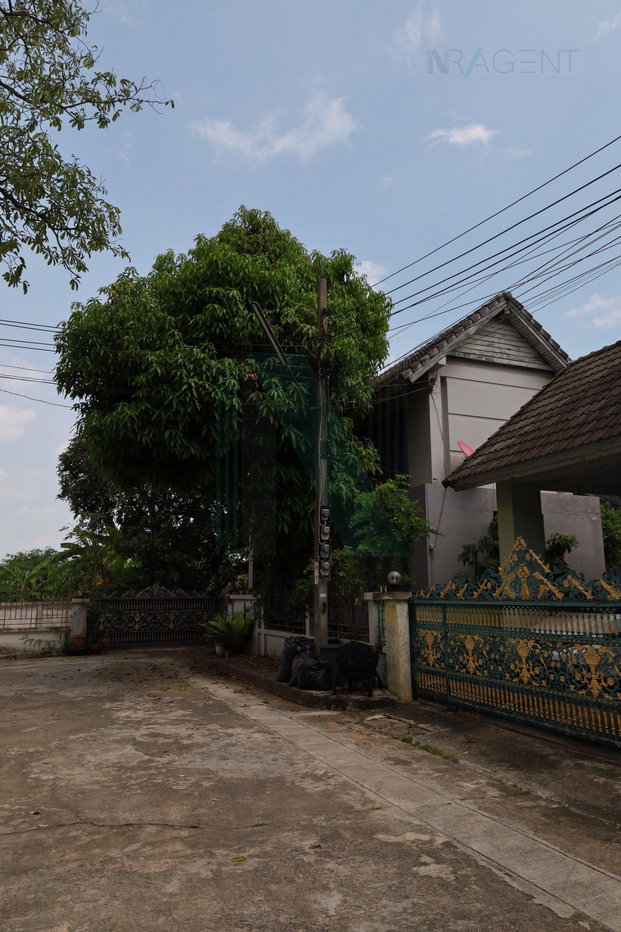picture ð For Sell House BAAN BUSABA 2-story 3 bedroom 4 bathroom - 3/8