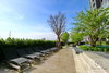 listing thumbnail image 15