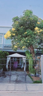 📌 For Sell Town house INDY BANGYAI 2 2-story 2 bedroom 3 bathroom