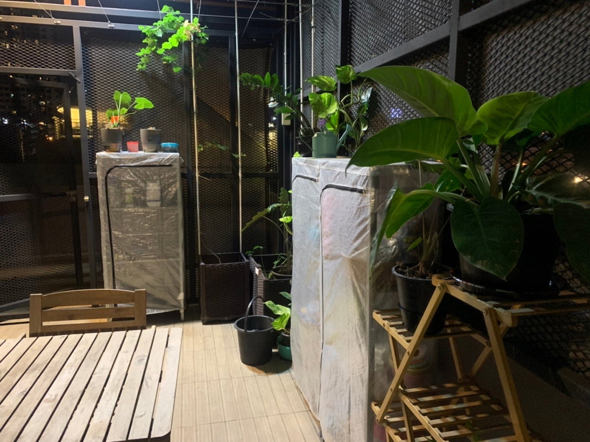 รูป ขายตึกแถว เจริญนคร 18 อาคารพาณิชย์ 1 คูหา 4ชั้น+ดาดฟ้าหลังคาโครงเหล็ก 300ตรม. 15ตรว คลองสาน BTS กรุงธนบุรี iconsiam เสนาเฟสต์ Renovateแล้ว - รูปที่ 35/38