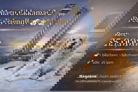 🐶🐱 Pet Friendly Condo For Rent 📍 Maru Ekkamai 2 🌹🌹 (Line: @rent2022) | Near BTS Ekkamai  ✨ Ready to move in! ✨ 📌 Ref Code: A11106