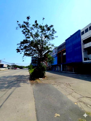 Shophouses for rent Lamlukka Khlong Si : Commercial building for rent , 4.5 floors 18.40 square wah. Located in a prime area on Lam Luk Ka – Lat Sawai Road, near KTC Skill Testing Center.