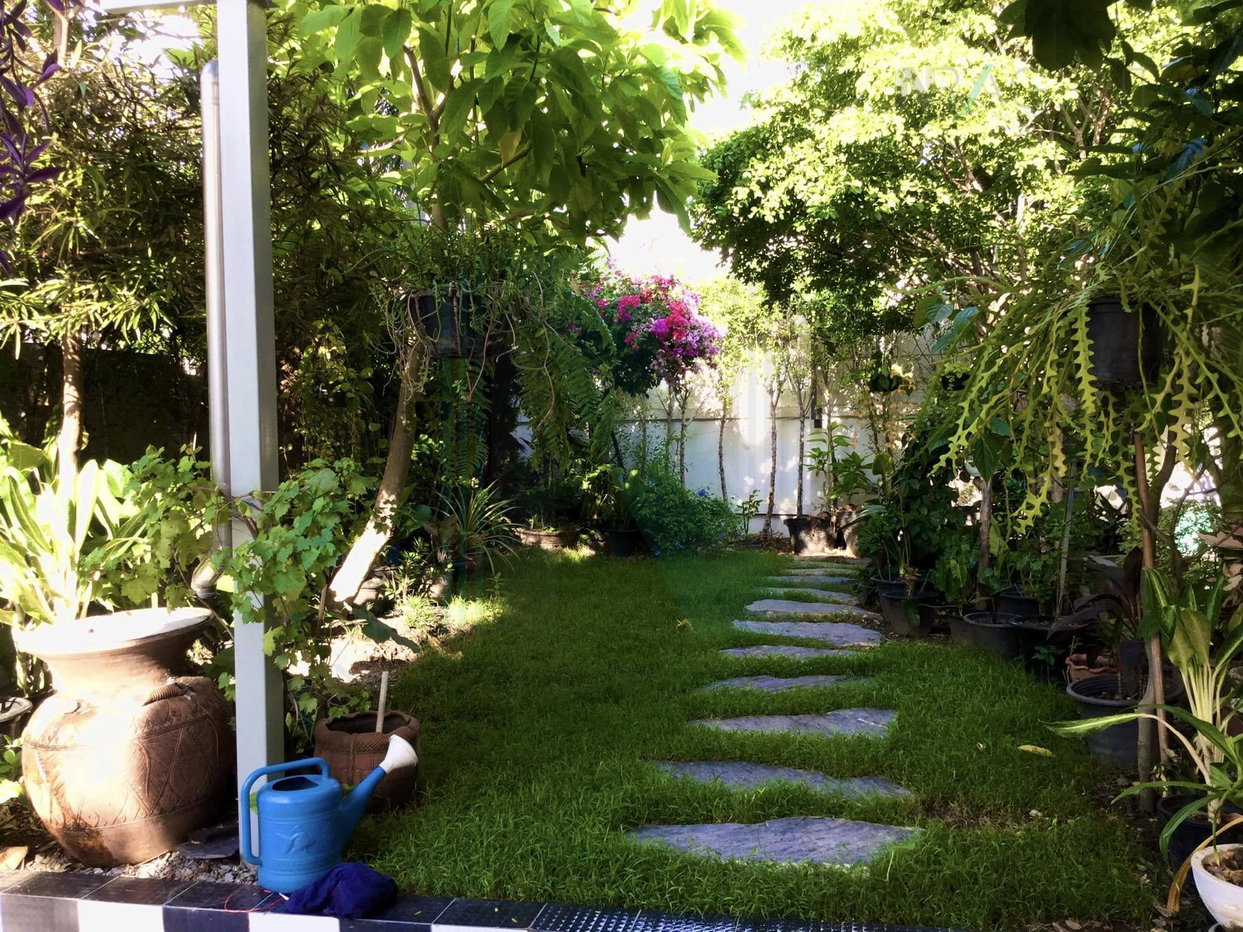 รูป 📌 ขายบ้านเดี่ยว โครงการ ดิเอมเมอรัลด์ การ์เด้น 2 ชั้น 4 ห้องนอน 3 ห้องน้ำ - รูปที่ 2/8