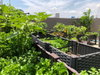 listing thumbnail image 36