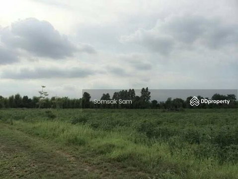 ขายที่ดิน ต.หนองกี่ อ.กบินทร์บุรี จ.ปราจีนบุรี