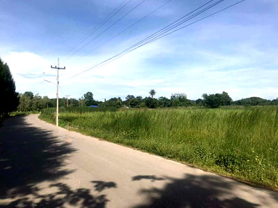 Land for sale Suan Phung Ratchburi : Prime Land for Sale 24 Rai 3 Ngan 97.5 Sq.Wah at SuanPhueng Ratchaburi, Excellent investment Opportunity.