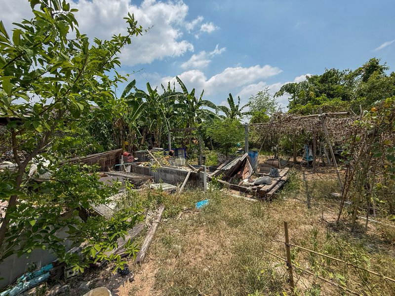 รูป ด่วน ขายบ้านเดี่ยว หนองขาม ศรีราชา พื้นที่ใช้สอยเยอะ - รูปที่ 7/13