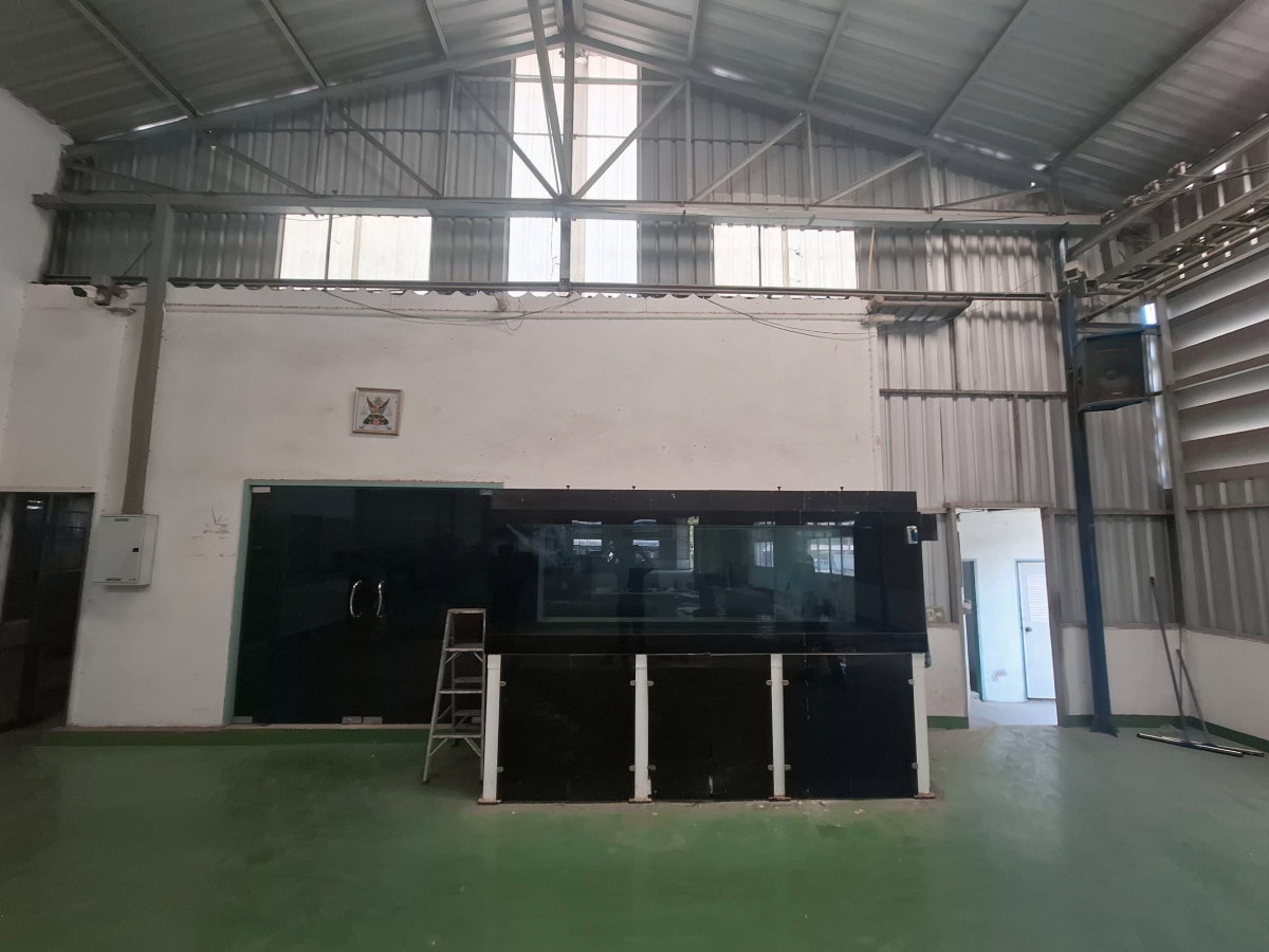 picture Warehouse and building for sale in Chonburi. - 54/64