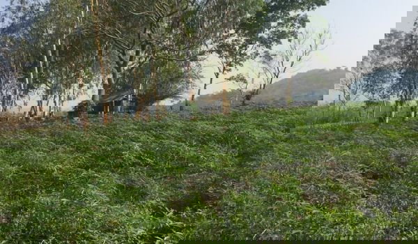 รูป ขายที่ดินเปล่า วิวสวย อยู่บนเนินเขา จ.เชียงราย - รูปที่ 3/4