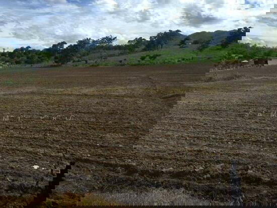 รูป ขายที่ดิน จ.แม่ฮ่องสอน ใกล้ร้านกาแฟ Coffee in Love - รูปที่ 1/4