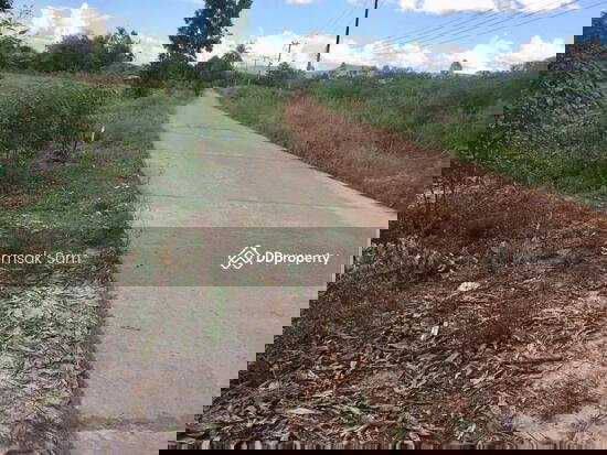 รูป ขายที่ดิน ต.หนองกี่ อ.กบินทร์บุรี จ.ปราจีนบุรี - รูปที่ 3/3