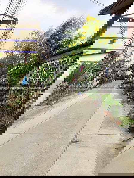 รูป ขายที่ดินแถมบ้าน 2 หลัง เนื้อที่ 49 ตร.วา ถ.พหลโยธิน48 แยก2/2 (ชุมชนอยู่รวย) บ้านสภาพพร้อมอยู่ - รูปที่ 8/9