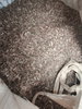 listing thumbnail image 48