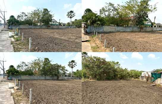 รูป ขาย ที่ดิน ทำเลค้าขาย ME157 ติดถนนเกาะโพธิ์ สามแยก ท่าบุญมี เกาะจันทร์ ชลบุรี . 236 ตรม 4 ไร่ 2 งาน 85 ตรว ใกล้ตลาดเกาะโพธิ์ เพียง 3 Km. - รูปที่ 5/8