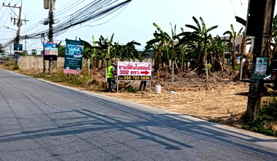 Land for sale Nakhon Pathom : Land for sale in Sampran, Soi 12, Nakhon Pathom