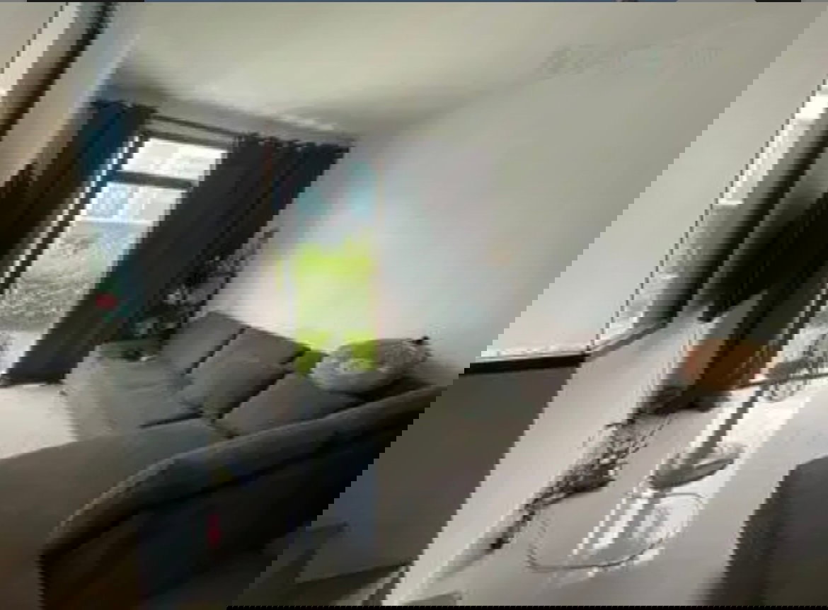 รูป ขาย ทาวน์โฮม โครงการ พลีโน่ ปิ่นเกล้า จรัญ - รูปที่ 2/4