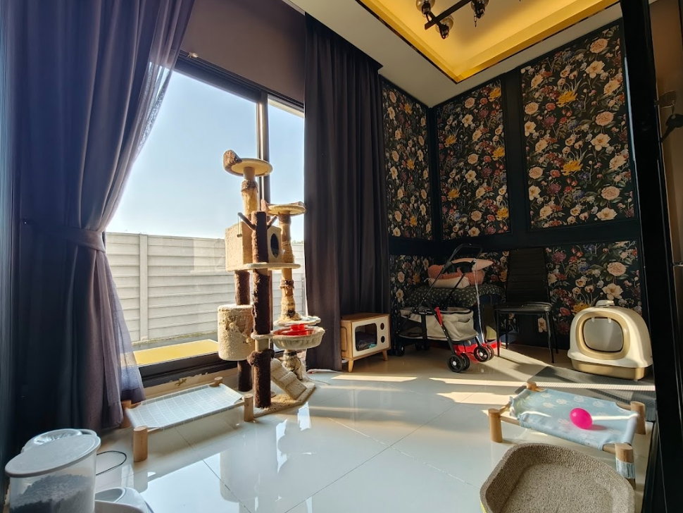 รูป 🏡 ขาย บ้านเดี่ยว The City ราชพฤกษ์ - สวนผัก 💰 ราคาพิเศษ 12.7 ล้านบาท - รูปที่ 11/26