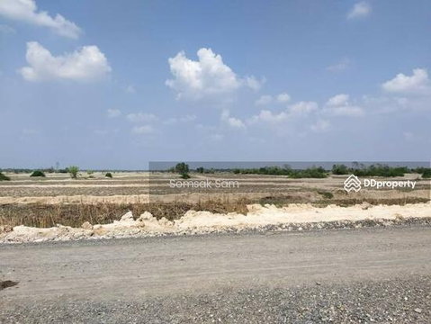 Land for sale, area 19 rai, Dan Khun Thot District, Nakhon Ratchasima