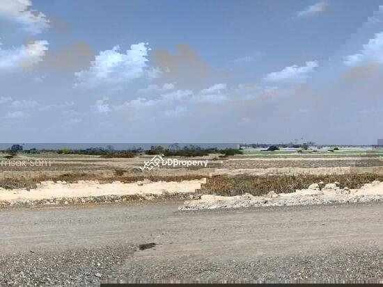 picture Land for sale, area 19 rai, Dan Khun Thot District, Nakhon Ratchasima - 1/3