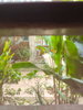 listing thumbnail image 57