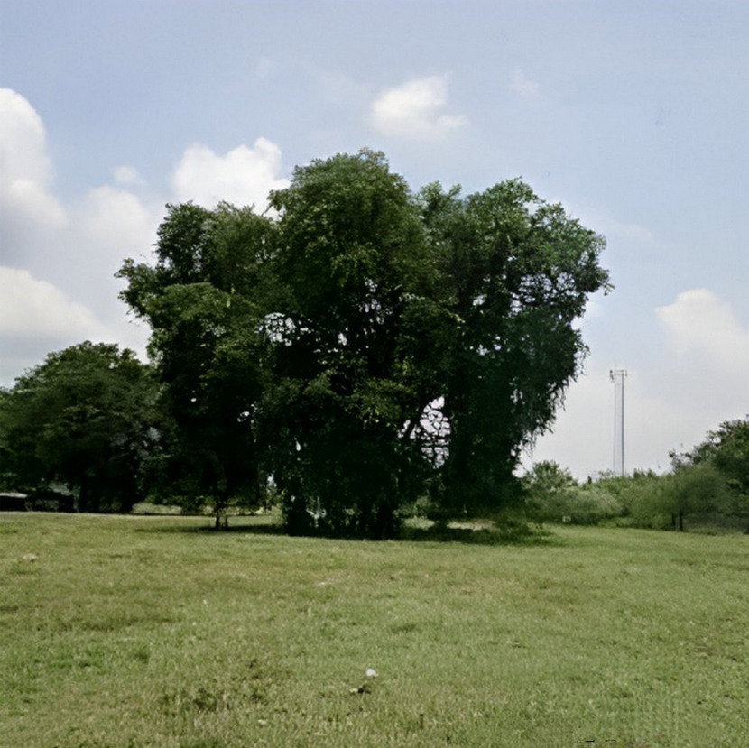 รูป Call : 064-556-2499 ขายที่ดินติดถนนสุวรรณศร อำเภอวัฒนานคร จังหวัดสระแก้ว 43 ไร่เศษ ทำเลทอง ใกล้ตัวเมืองสระแก้ว ใกล้เขตเศรษฐกิจพิเศษ - รูปที่ 4/10