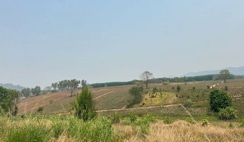 Land for sale, beautiful view, on a hill, Chiang Rai Province
