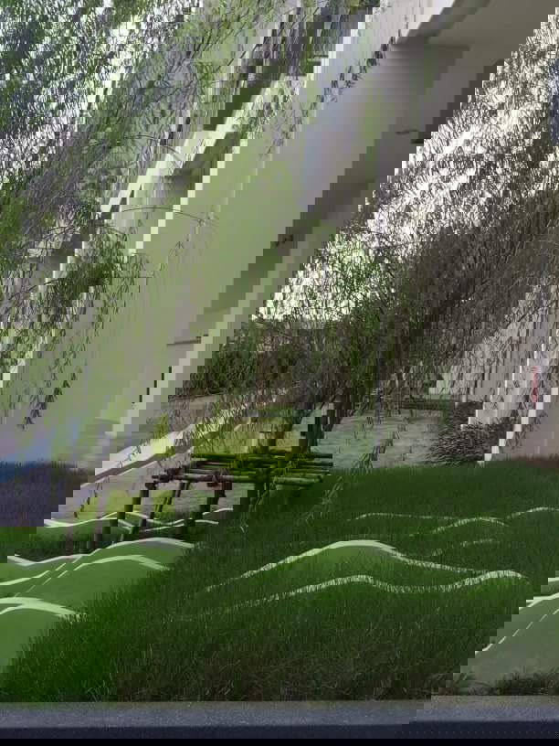 รูป Hot Deal ✨ ให้เช่า Aspire Sukhumvit 48 ห้องสวยมาก ราคาดีสุดๆ ชั้นสูง วิวเมือง DS2642 | Line @Dstay - รูปที่ 12/14