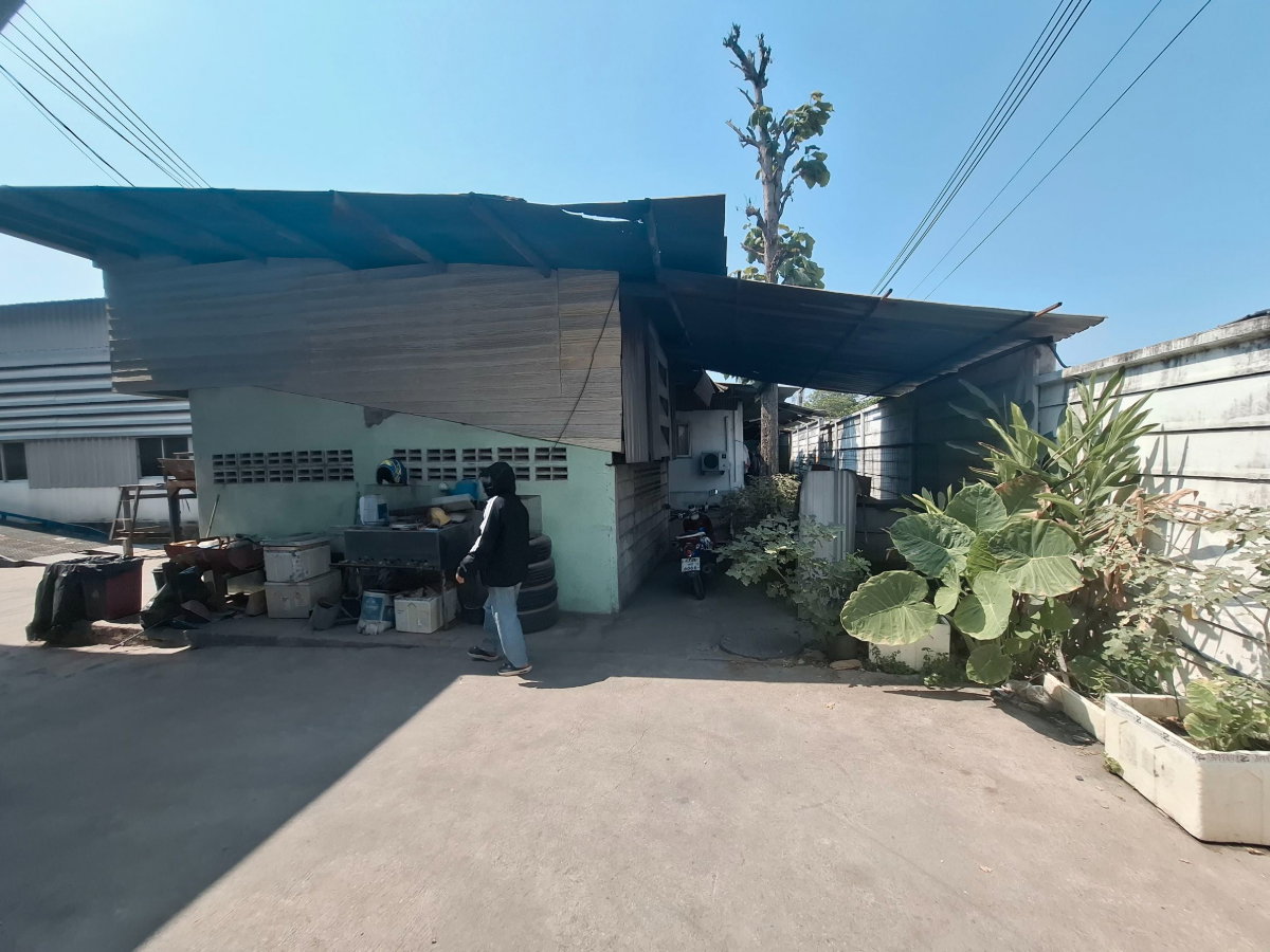 picture Warehouse and building for sale in Chonburi. - 51/64