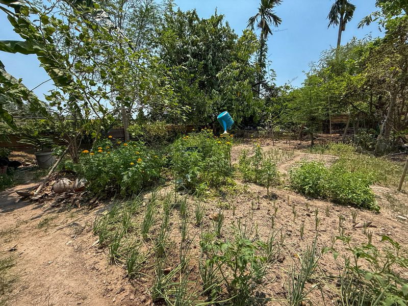 รูป ด่วน ขายบ้านเดี่ยว หนองขาม ศรีราชา พื้นที่ใช้สอยเยอะ - รูปที่ 4/13