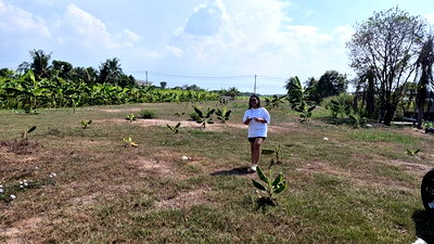 ที่ดิน ปทุมธานี : ขายที่ดิน แปลงสวย ใกล้สิ่งอำนวยความสะดวก ราคาคุ้มค่า