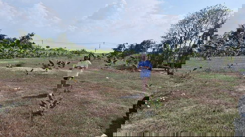 ขายที่ดิน แปลงสวย ใกล้สิ่งอำนวยความสะดวก ราคาคุ้มค่า