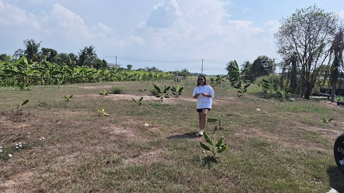 รูป ขายที่ดิน แปลงสวย ใกล้สิ่งอำนวยความสะดวก ราคาคุ้มค่า - รูปที่ 1/6