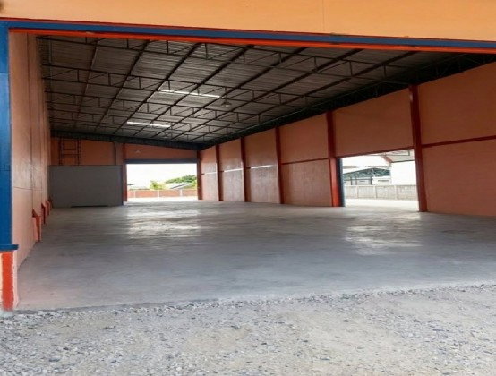 รูป ให้เช่าโกดัง พร้อมสำนักงาน ซอยบางปลา 2 (ธนสิทธิ์) เทพารักษ์ กม. 14 / พื้นที่โกดัง 420 ตารางเมตร / พื้นที่รอบ ๆ อาคาร 295 ตารางวา   - รูปที่ 3/6