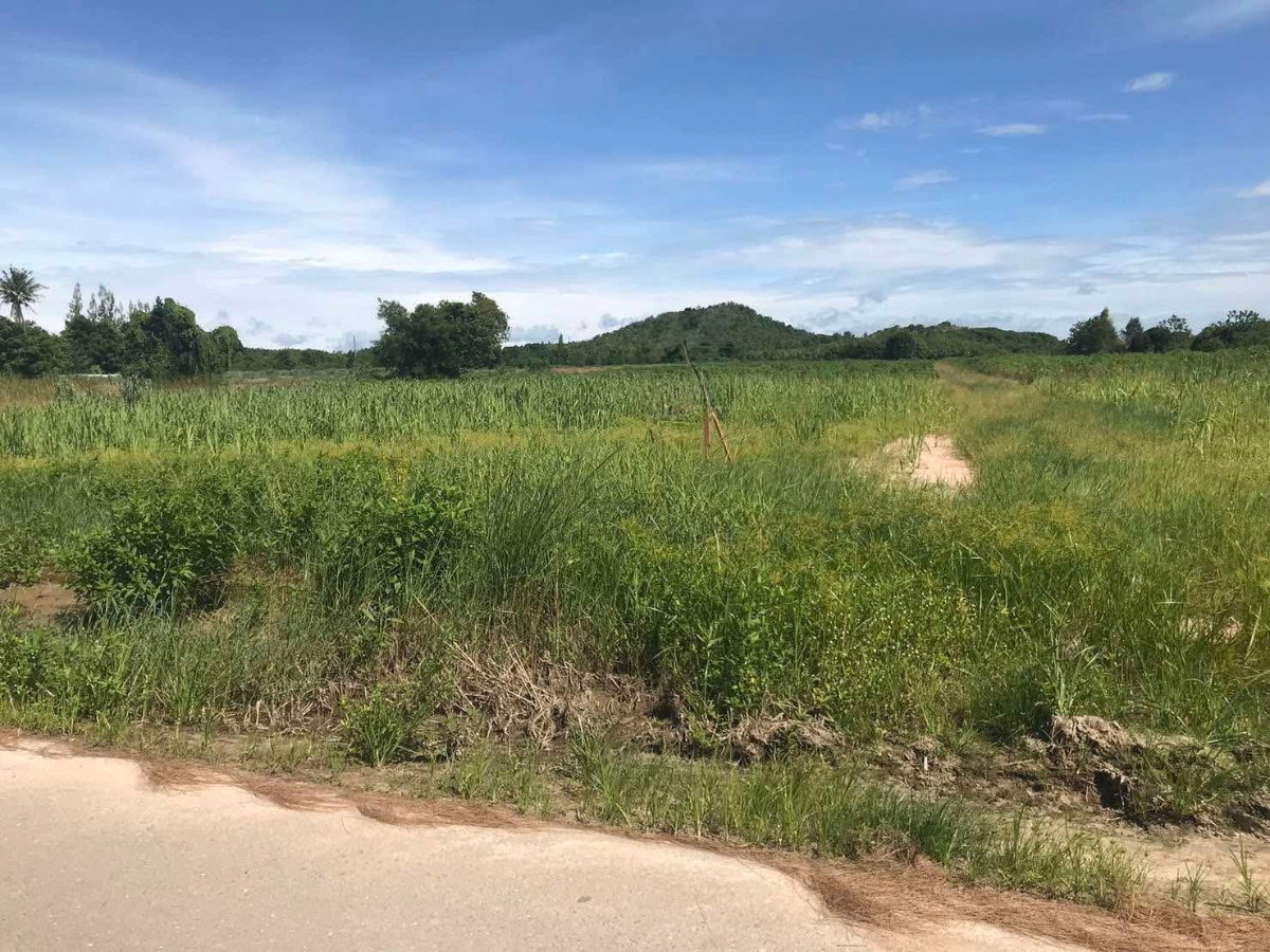 รูป ขายที่ดินแปลงใหญ่ 24 ไร่ 3 งาน 97.5 ตร.วา ต.ท่าเคย อ.สวนผึ้ง ราชบุรี เหมาะรีสอร์ท บ้านพัก คาเฟ่ ฟาร์ม ทำเลดี - รูปที่ 2/3