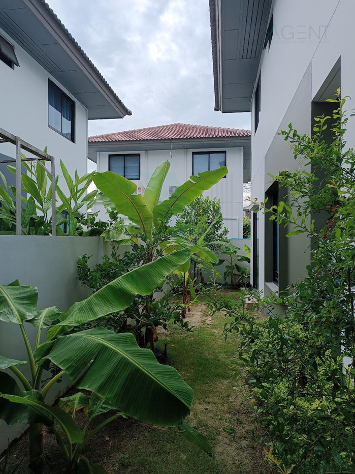 รูป 📌 ขายบ้านเดี่ยว โครงการ บุราสิริ บางนา 2 ชั้น 3 ห้องนอน 2 ห้องน้ำ - รูปที่ 2/8