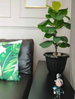 listing thumbnail image 8