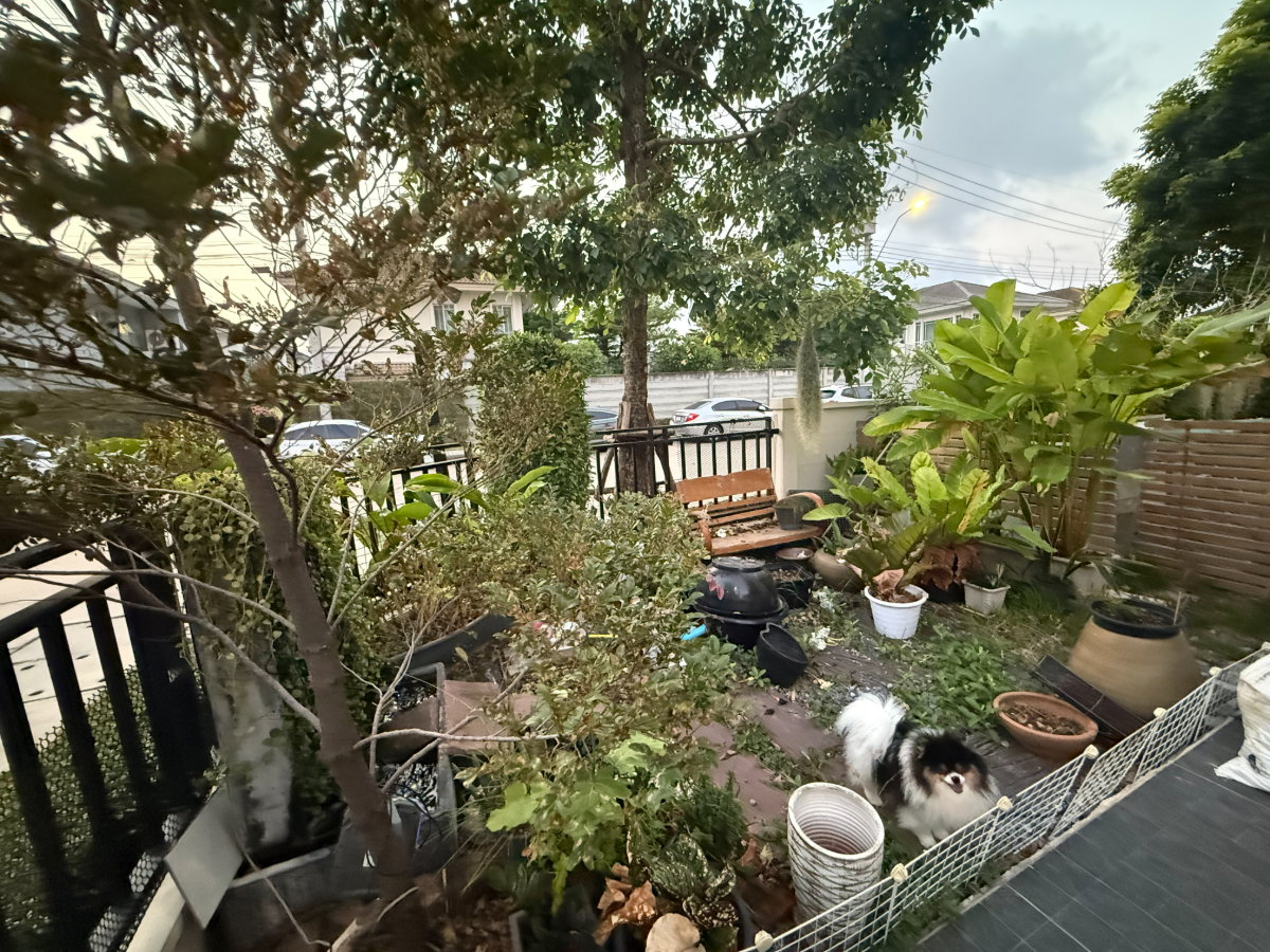 รูป ขายบ้านทาวน์เฮ้าส์หลังมุม 3 ชั้น เนื้อที่29.5 ตร.ว. 150 ตร.ม. (เจ้าของขายเอง) หมู่บ้านเพล็กซ์ อ่อนนุช วงแหวน ถนนสุขาภิบาล 2 - รูปที่ 41/45