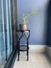 listing thumbnail image 11