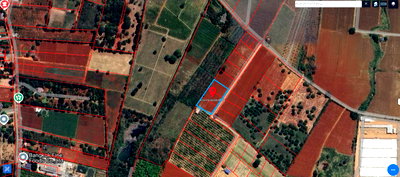 Land for sale Nakhon Ratchasima : Offer for sale a beautiful 3-rai plot of land  in Klang Dong, Pak Chong. It is adjacent to Khao Yai National Park and close to the Mittraphap Road.