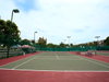 listing thumbnail image 24