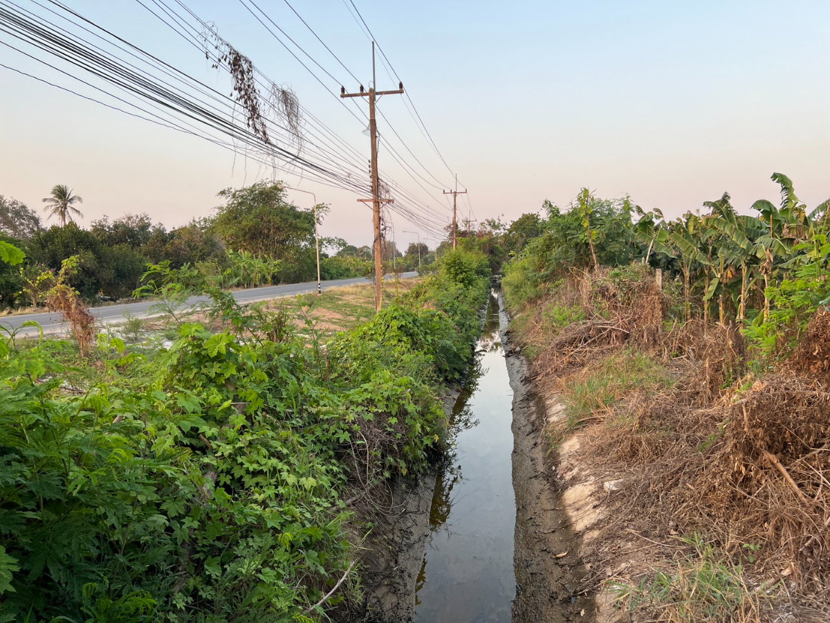 รูป ที่ดิน 7 ไร่ 2 งาน 89 ตารางวา จังหวัดเพชรบุรี ติดถนนทางหลวงแผ่นดิน ราคา 7,000,000 บาท สามารถต่อรองได้ - รูปที่ 14/20