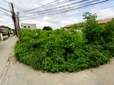 ที่ดิน เชียงราย ไนท์ บาซาร์ : ขายที่ดิน ถมแล้ว แปลงมุม จ.เชียงราย