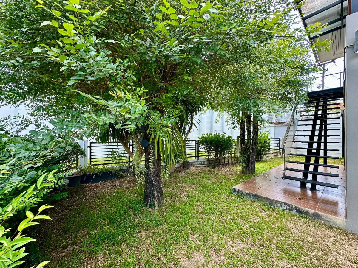 รูป  บ้านให้เช่า สราสิริ เกาะแก้ว  ✅ พร้อมเข้าอยู่  📐 65.5 ตร.ว.  🛏️ 5 ห้องนอน | 🛁 2 ห้องน้ำ - รูปที่ 8/31