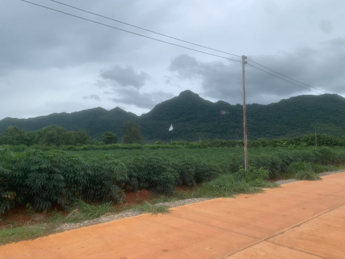รูป ขออนุญาติฝากขายที่ดินกลางดง ปากช่องแปลงงาม(โฉนด) เนื้อที่ 3 ไร่ ติดเขาใหญ่ ใกล้ถนนมิตรภาพและทางหลวงพิเศษหมายเลข 6 - รูปที่ 6/9