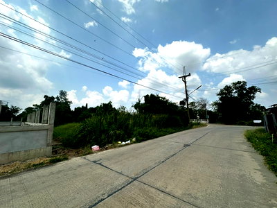 ที่ดิน บางเลน นครปฐม : ขายที่ดินเปล่า 144 ตร.วา บางเลน นครปฐม นราภิรมย์  บางเลน  นครปฐม 