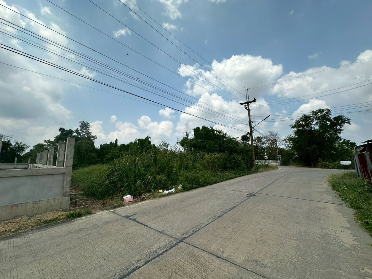 รูป ขายที่ดินเปล่า 144 ตร.วา บางเลน นครปฐม นราภิรมย์  บางเลน  นครปฐม  - รูปที่ 1/12