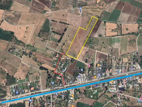 picture Land for sales at Pakchong 26 Rai - 4/4