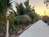listing thumbnail image 19