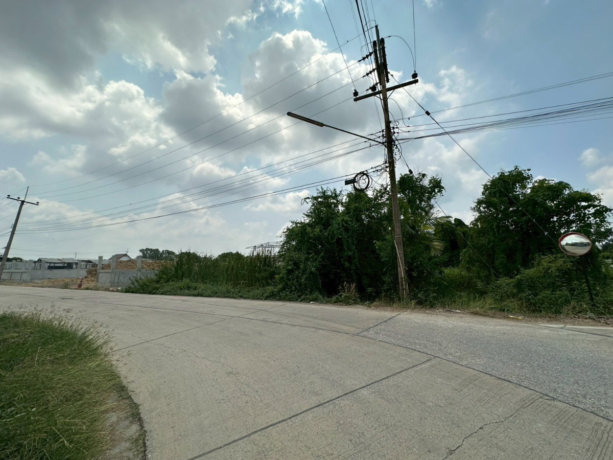 รูป ขายที่ดินเปล่า 144 ตร.วา บางเลน นครปฐม นราภิรมย์  บางเลน  นครปฐม  - รูปที่ 4/12