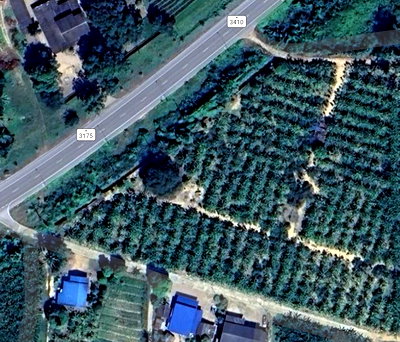 ที่ดิน เพชรบุรี : ที่ดิน 7 ไร่ 2 งาน 89 ตารางวา จังหวัดเพชรบุรี ติดถนนทางหลวงแผ่นดิน ราคา 7,000,000 บาท สามารถต่อรองได้